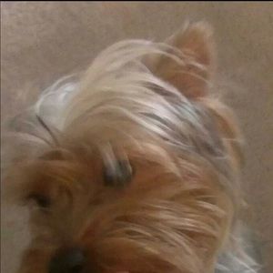 Meet your Posher, Patrick